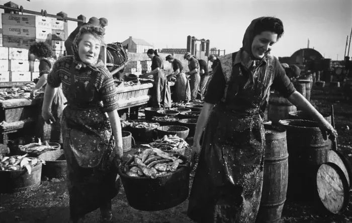 Framed Print : Herring Catch Framed Print : Herring Catch