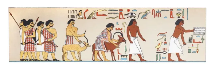 Framed Print : Hieroglyphics in egypt Framed Print : Hieroglyphics in egypt