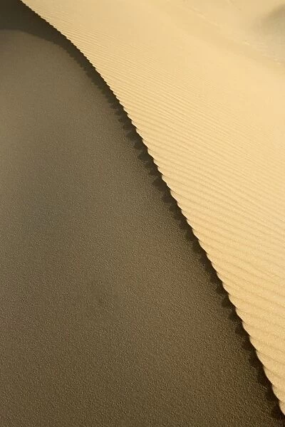 High Angle View of the Edge of Sand Dune with Ripples