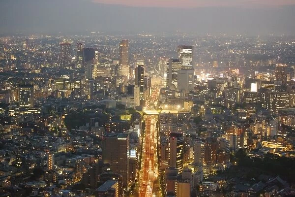 High angle view over Tokyo, Japan at dusk