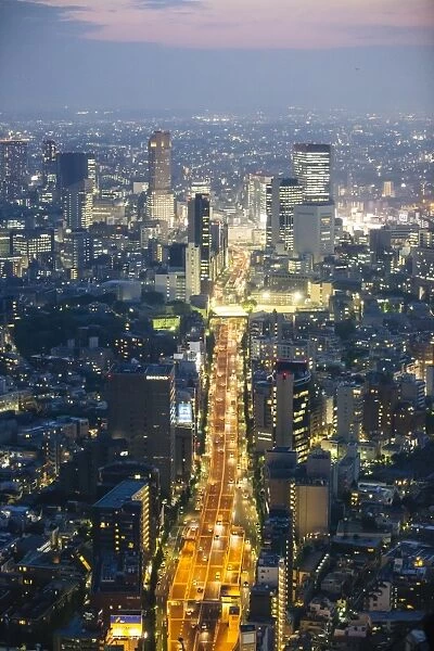 High angle view of Tokyo, Japan at dusk