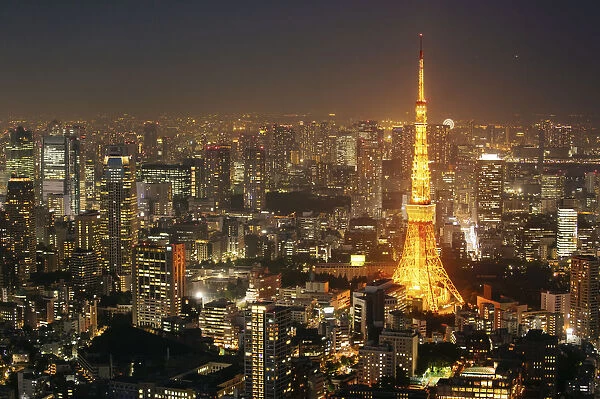 High angle view of Tokyo Tower at night, Japan