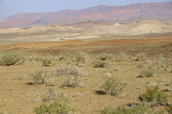 High desert valley, Altan Hokhii, Khovd Province, Mongolia