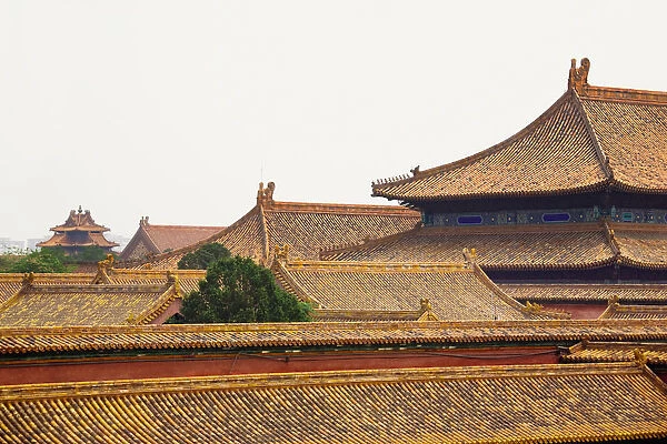 High section view of a palace, Forbidden City, Beijing, China
