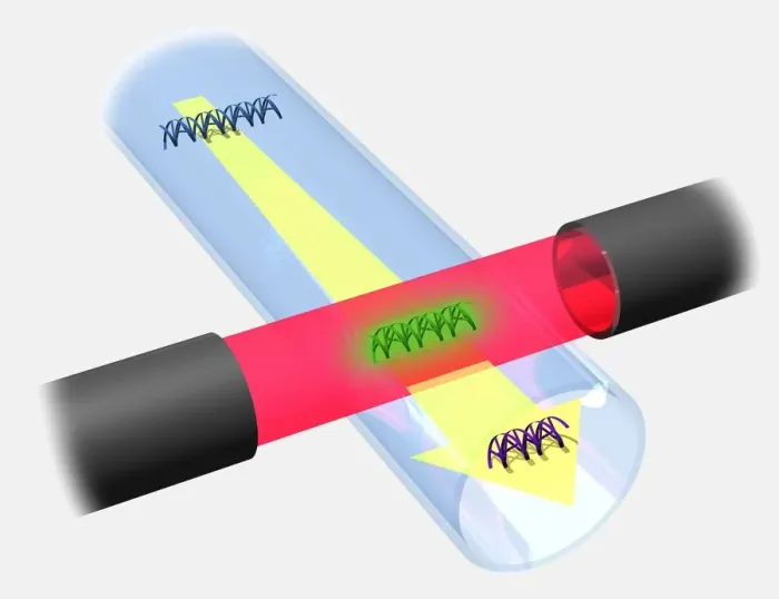 Framed Print : High voltage driving DNA fragments along a capillary tube passing through a photo detector, illustration Framed Print : High voltage driving DNA fragments along a capillary tube passing through a photo detector, illustration