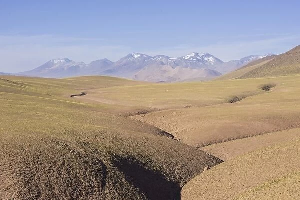 Highland region, San Pedro de Atacama, Antofagasta Region, Chile