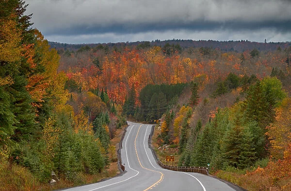 Highway 60 in Algonquin Park, Canada