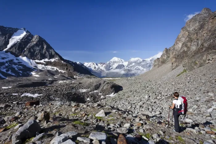 Framed Print : Hiker during ascent of Mt Tschenglser Hochwand above Duesseldorfer Huette hut in Sulden, Mt Vertainspitze, Mt Koenigsspitze and Mt Zebru at back, Suldental valley, South Tyrol, Italy, Europe