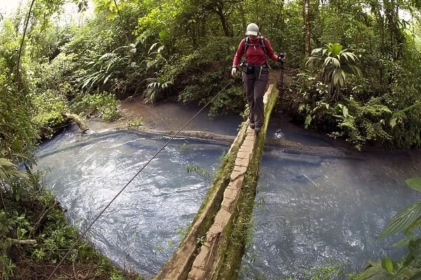 Hiker crossing the Rio Celeste on a wooden bridge, Tenorio National Park, Guanacaste, Costa Rica, Central America