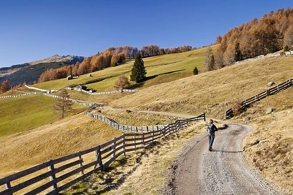 Hiker during the descent from the Gedrumalm alpine pastures in the Gedrum Valley above Reinswald in the Sarn Valley, Alto Adige, Italy, Europe