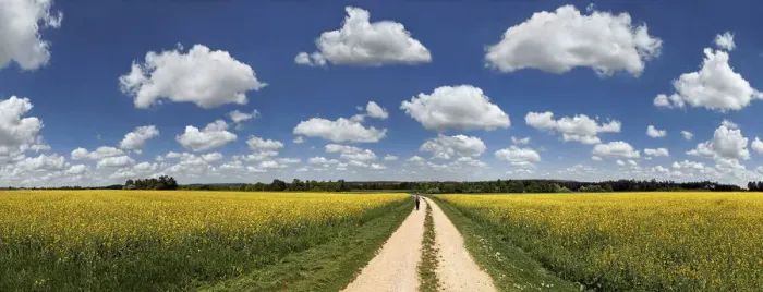 Framed Print : Hiker on a dirt track, bright rape fields and white clouds against a blue sky, near Erkertshofen, Titting, Altmuhltal Nature Park, Bavaria, Germany Framed Print : Hiker on a dirt track, bright rape fields and white clouds against a blue sky, near Erkertshofen, Titting, Altmuhltal Nature Park, Bavaria, Germany