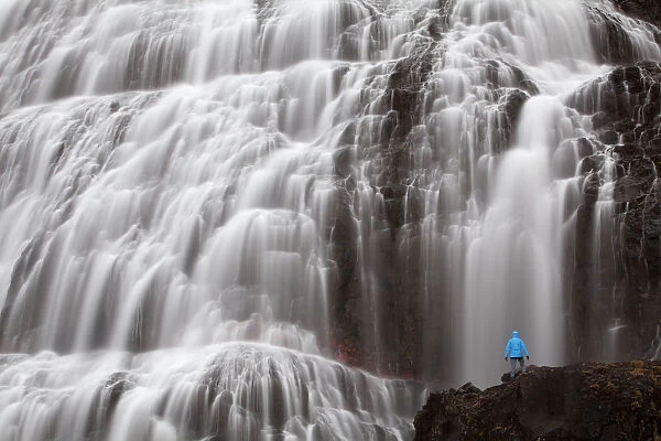 Hiker in front of the Dynjandi waterfall, Fjallfoss, West Fjords, Iceland, Europe