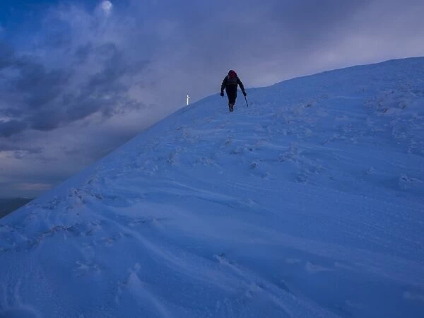 Hiker in snow on Monte Catria, Apennines, Marche, Italy