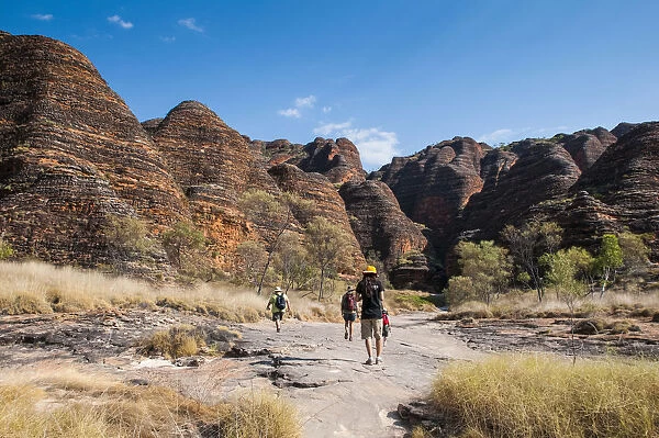 Hikers in front of the Bungle Bungles, beehive-shaped sandstone towers, Purnululu National Park, UNESCO World Heritage Site, Eastern Kimberleys, Western Australia