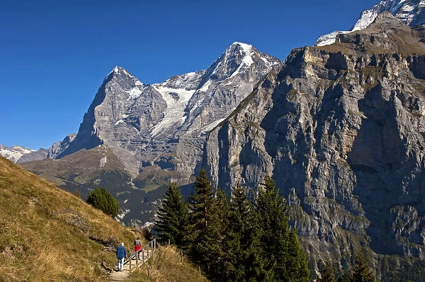 Hikers at the foot of Eiger and Moench Mountains and Eiger glacier, Murren, Bernese Oberland, Canton of Bern, Switzerland