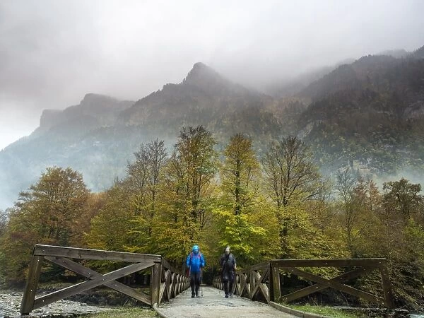 Hikers with raincoats and walking sticks on a bridge of wood that crosses a river in a forest in autumn