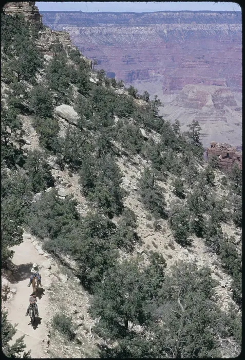 Framed Print : Hikers Traveling near Grand Canyon Framed Print : Hikers Traveling near Grand Canyon