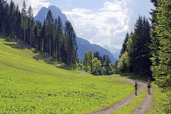 Hikers with view to the Grosser Waxenstein, Hammerbach, Garmisch-Partenkirchen District, Upper Bavaria, Bavaria, Germany