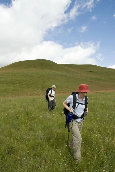 Hikers Walking Through Long Grass