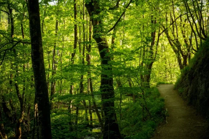 Framed Print : Hiking Path In Plitvice Lakes National Park Framed Print : Hiking Path In Plitvice Lakes National Park