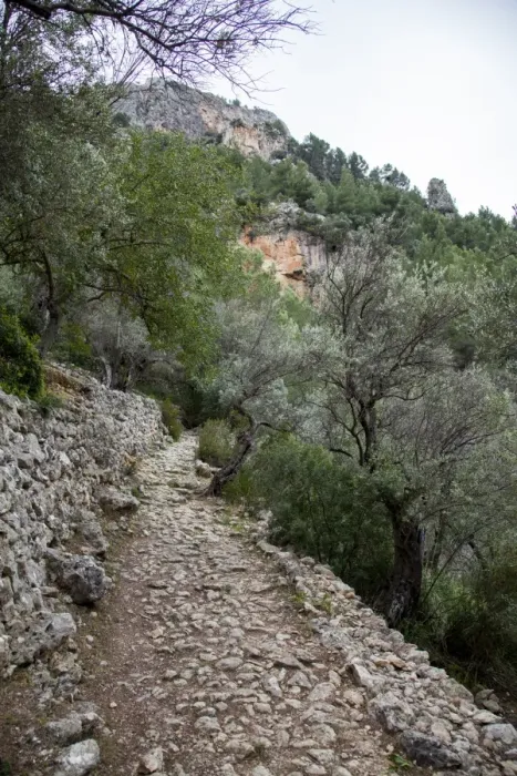 Framed Print : Hiking path in Sierra de Tramuntana