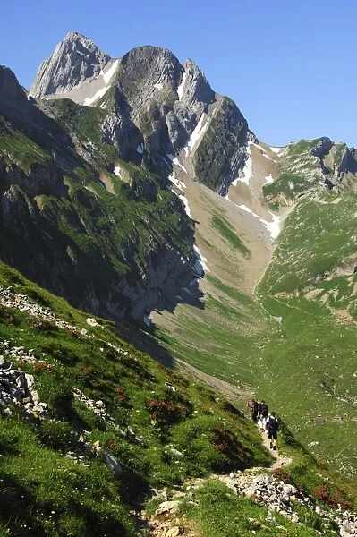 Hiking region in Appenzell, Altmann Mountain peak behind, Alpstein, Appenzell Innerrhoden, Switzerland, Europe
