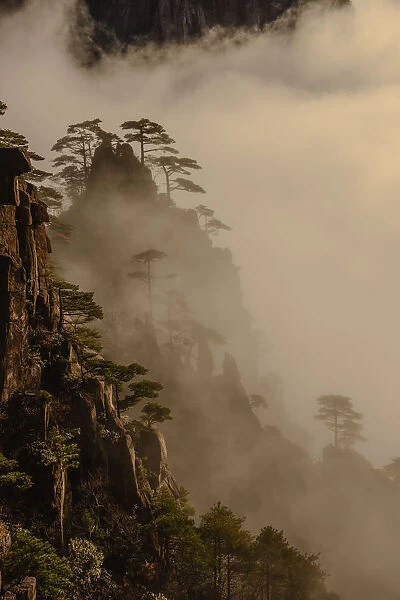 Hill mist. Huangshan mountain scenery in Anhui province, China