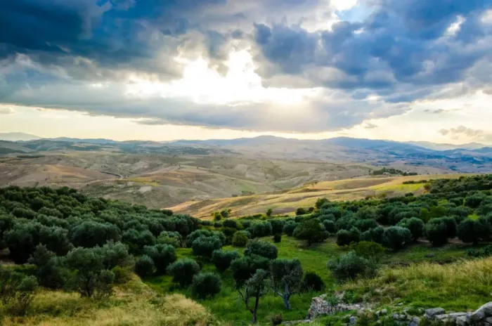 Framed Print : Hills of Basilicata Framed Print : Hills of Basilicata