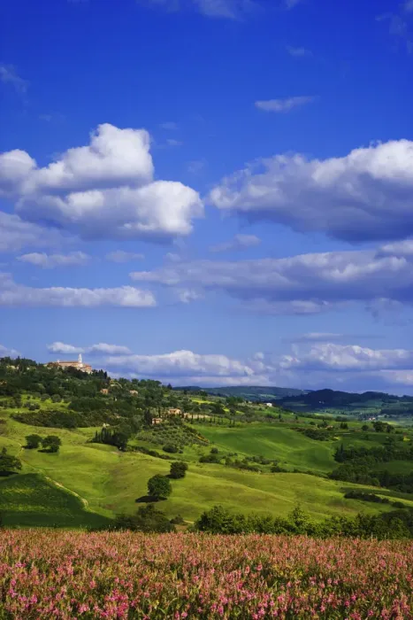 Framed Print : Hillside flowers and town, Pienza, Italy Framed Print : Hillside flowers and town, Pienza, Italy
