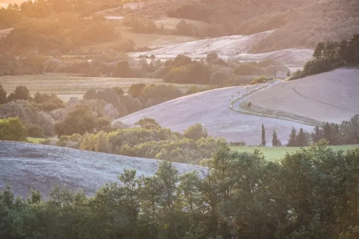 Framed Print : Hilly landscape with country road at dusk, Villamagna, Tuscany, Italy, Europe Framed Print : Hilly landscape with country road at dusk, Villamagna, Tuscany, Italy, Europe