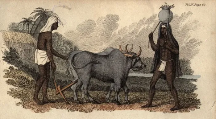 Framed Print : Hindu Ploughman