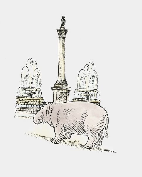 A hippopotamus next to Nelsons Column, Trafalgar Square, London