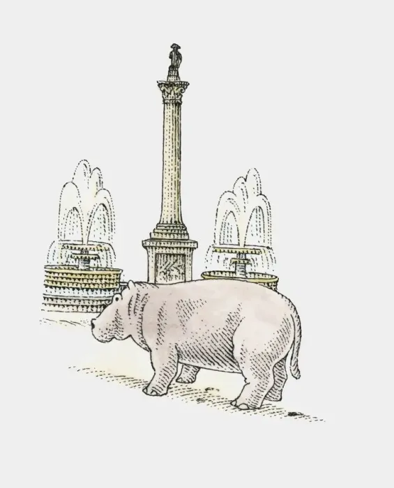 Framed Print : A hippopotamus next to Nelsons Column, Trafalgar Square, London Framed Print : A hippopotamus next to Nelsons Column, Trafalgar Square, London