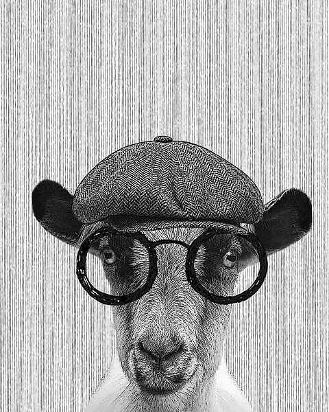 Hipster Goat Illustration With Hat And Glasses