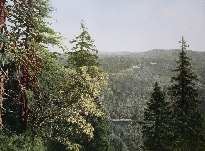 Framed Print : Historic photo around 1880 of Lake Rachel, Bavarian Forest, Bavaria, Germany, historic, digitally restored reproduction of a 19th century original Framed Print : Historic photo around 1880 of Lake Rachel, Bavarian Forest, Bavaria, Germany, historic, digitally restored reproduction of a 19th century original