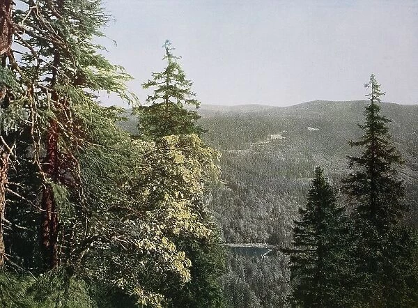 Historic photo around 1880 of Lake Rachel, Bavarian Forest, Bavaria, Germany, historic, digitally restored reproduction of a 19th century original