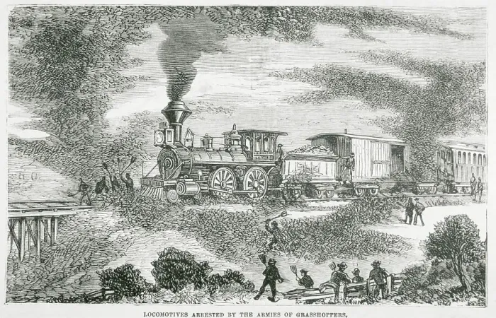 Framed Print : Hoard of Grasshoppers Flying Towards Train Framed Print : Hoard of Grasshoppers Flying Towards Train
