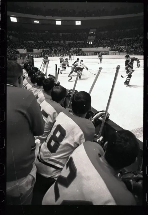 Framed Print : Hockey Players on the Bench Framed Print : Hockey Players on the Bench