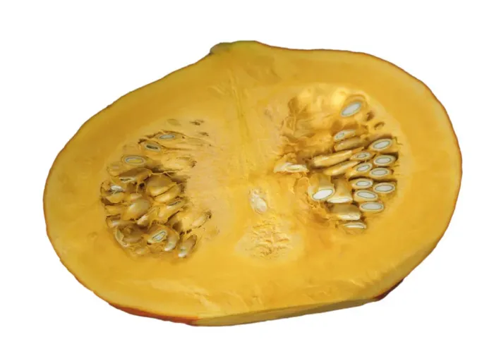Framed Print : Hokkaido squash, half