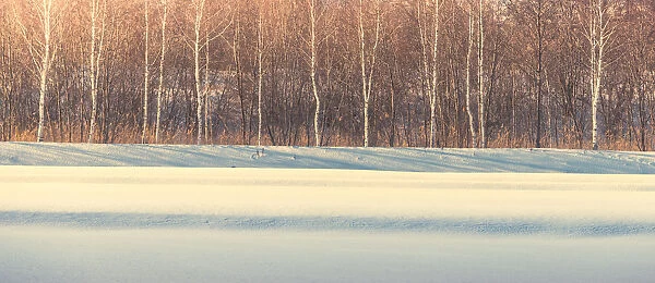 Hokkaido winter landscape