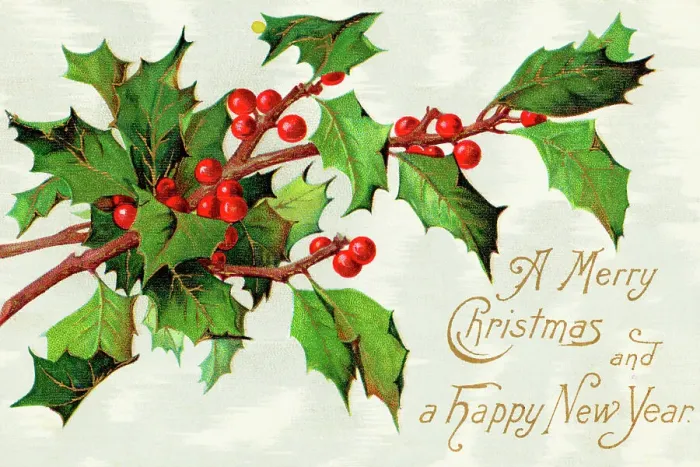 Framed Print : Holiday Greeting Card with Holly Branch Framed Print : Holiday Greeting Card with Holly Branch