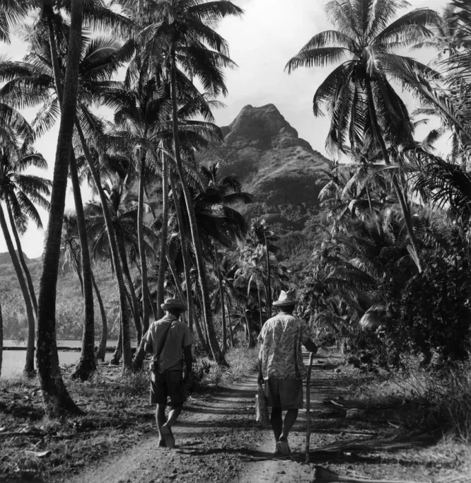 Framed Print : Holiday On Moorea