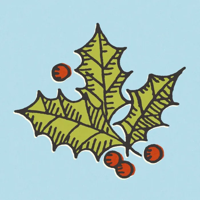 Framed Print : Holly Leaves and Berries Framed Print : Holly Leaves and Berries