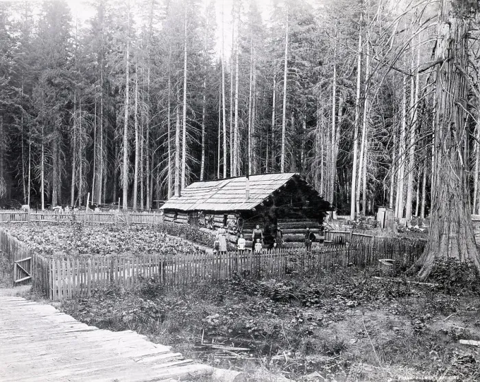 Framed Print : Homesteader In Home In Forest Framed Print : Homesteader In Home In Forest
