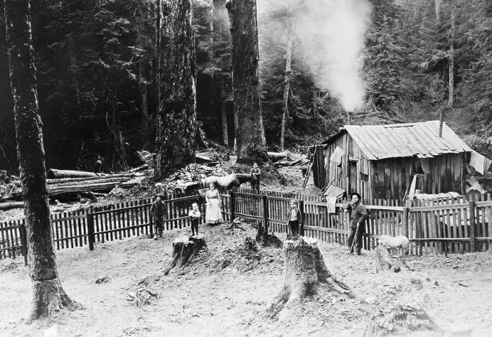 Framed Print : Homesteader In Washington Territory Framed Print : Homesteader In Washington Territory