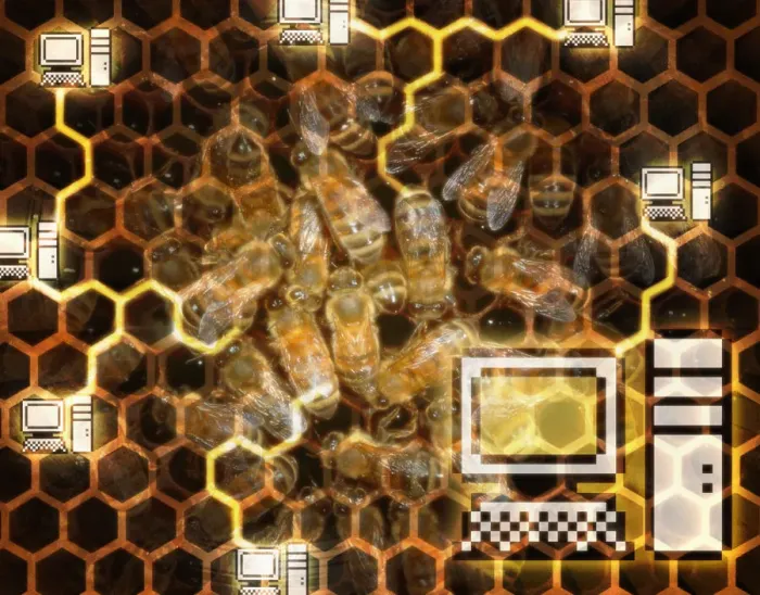 Framed Print : Honeycomb and Computers Framed Print : Honeycomb and Computers