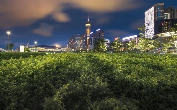 Hong Kong Central Business District with shrubs foreground