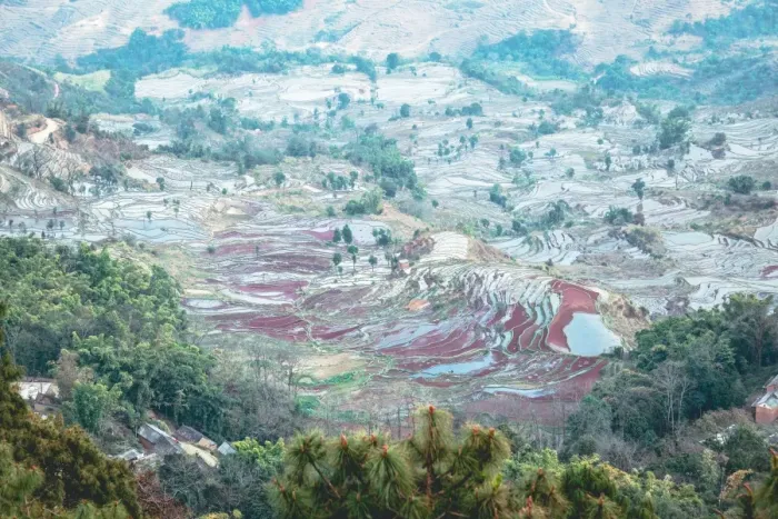 Framed Print : Honghe Hani Rice terraces Landscape Framed Print : Honghe Hani Rice terraces Landscape