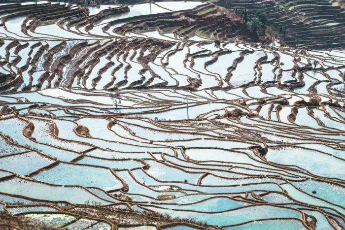 Framed Print : Honghe Landscape