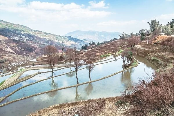 Honghe Landscape